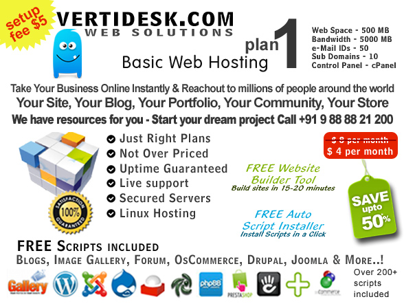 Web Hosting Plan 1