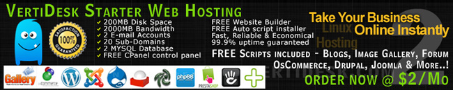 Introducing VertiDesk Web Solutions - web hosting, web designing 2 starter hosting banner